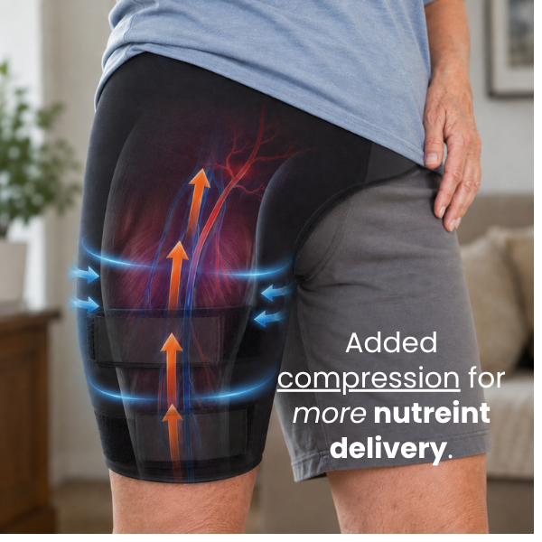 The Complete Sciatica Recovery System