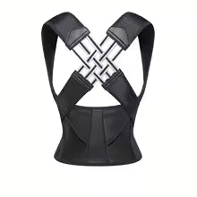 Lumbar Trainer